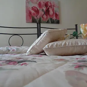 https://affittacamere-la-camelia.it-tuscanyhotel.com